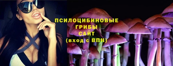 прущие крисы Абаза