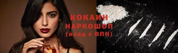 прущие грибы Магас